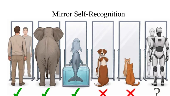 Figure from Mirror, Mirror on the Wall: Can VLM Agents Tell Who They Are at All?